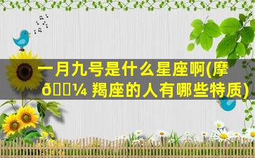 一月九号是什么星座啊(摩 🌼 羯座的人有哪些特质)